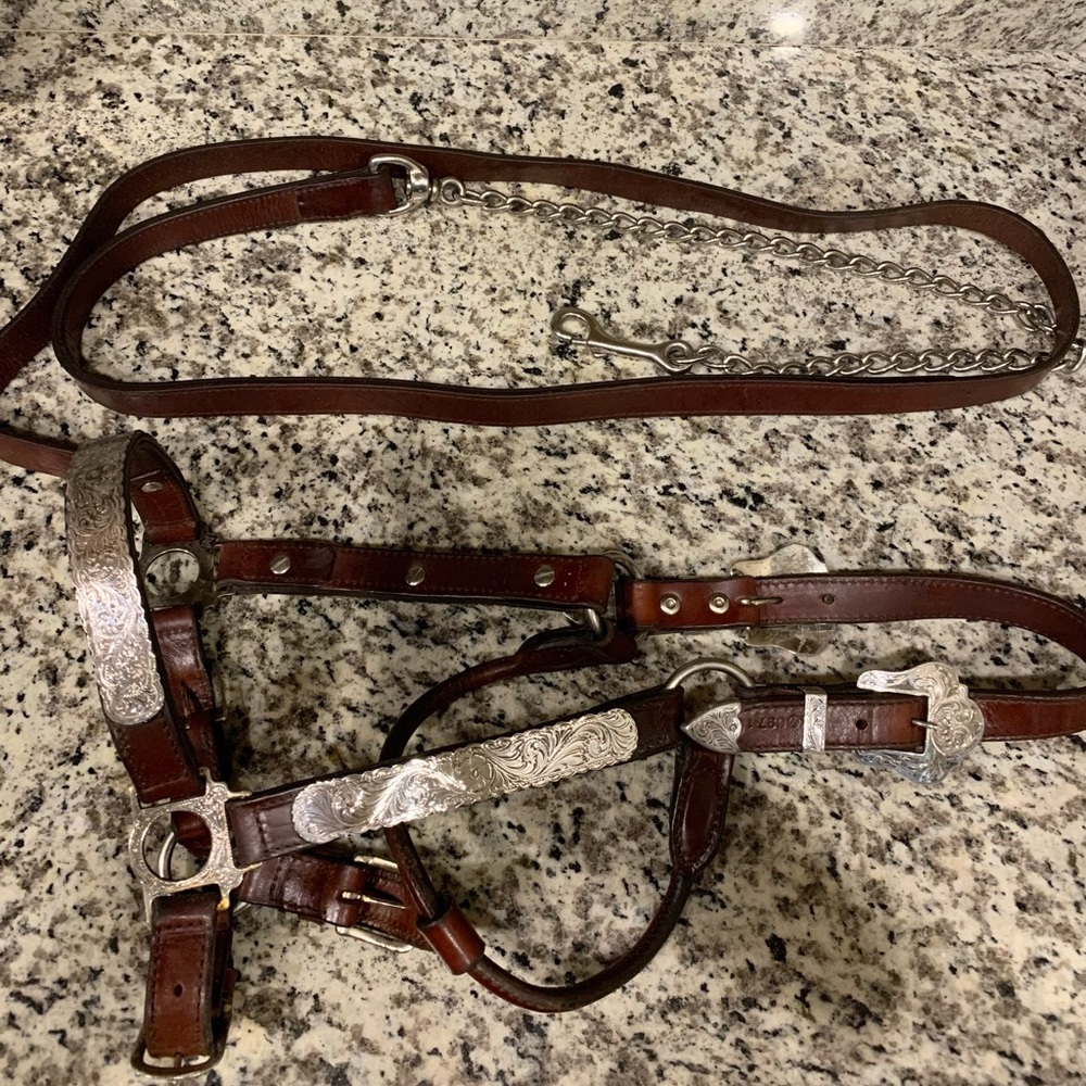 Circle Y Silver Show Halter